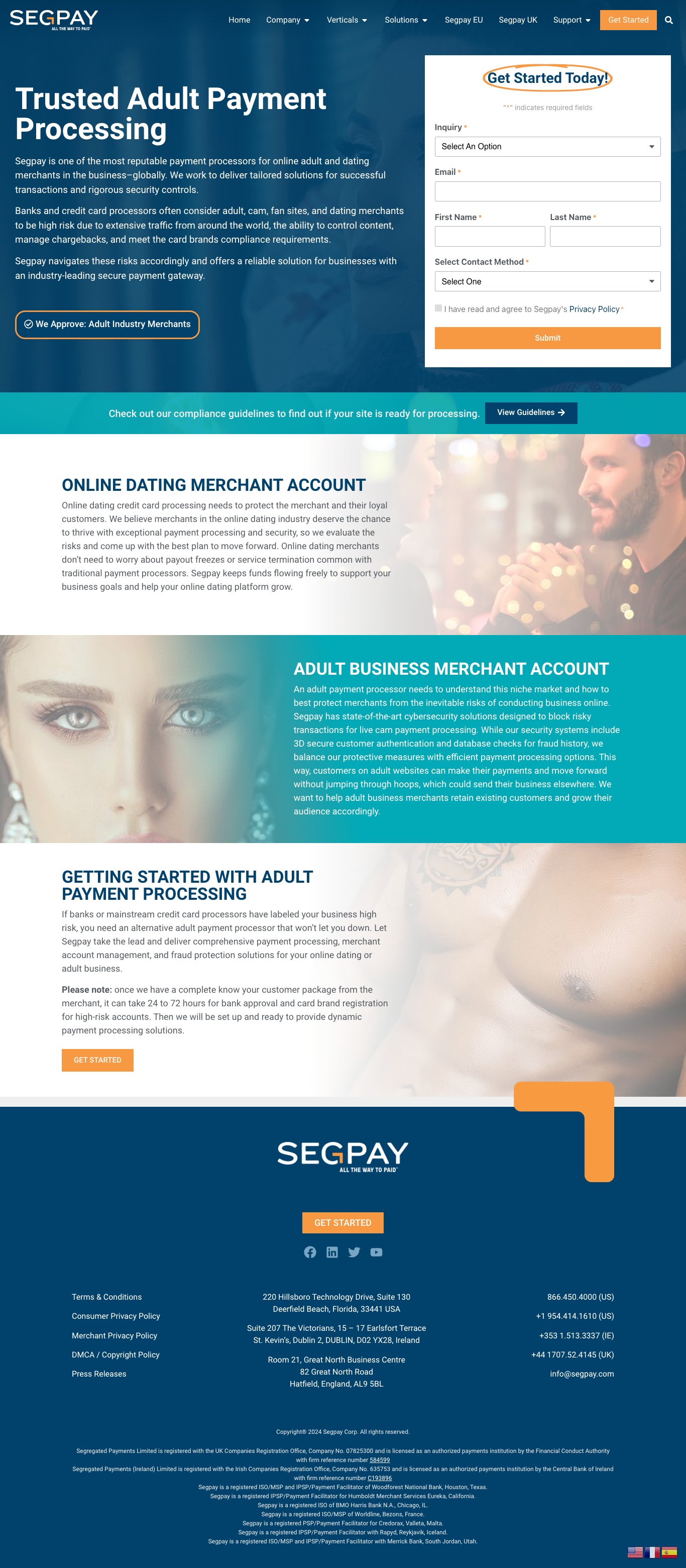 Segpay - Financial Industry website design - Adult industry website design